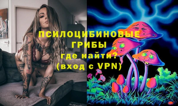 меф Гусиноозёрск