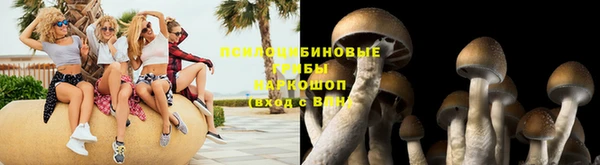 меф Гусиноозёрск