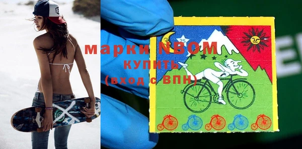 ПСИЛОЦИБИНОВЫЕ ГРИБЫ Новозыбков